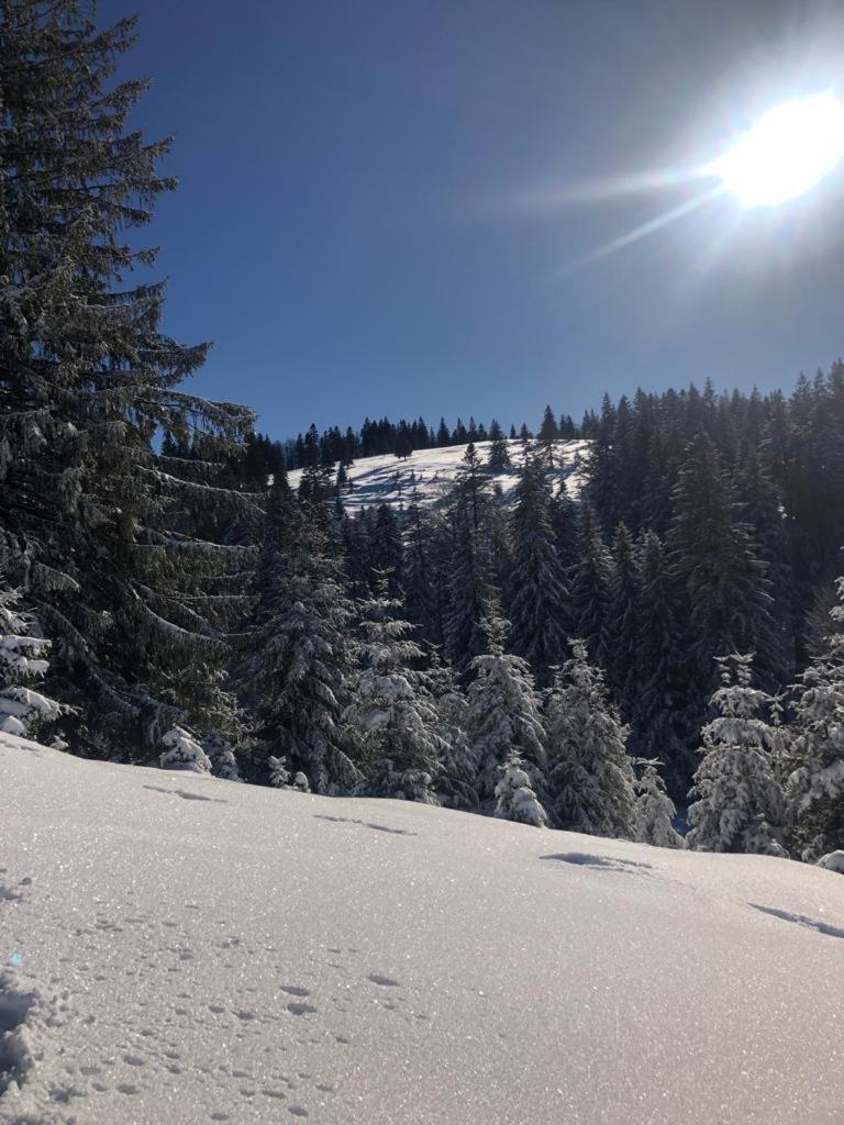 Casa Bondia Villa Pârâul Rece Eksteriør billede